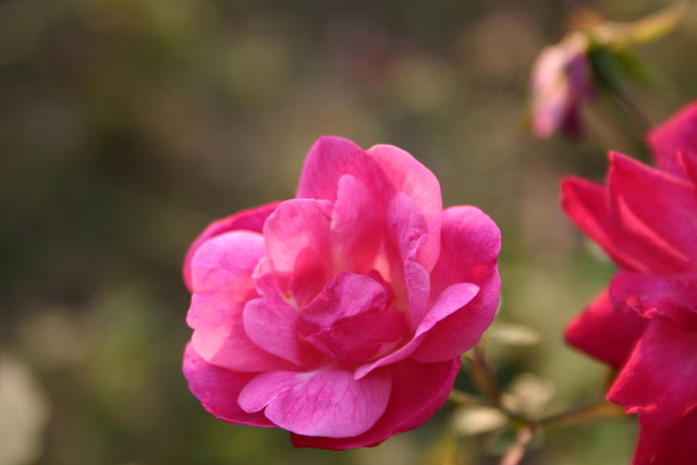 http://lh4.google.com/anikox/RzfrhjP-1wI/AAAAAAAABXw/xspb2Tk4KWQ/IMG_0165.jpg?imgmax=640