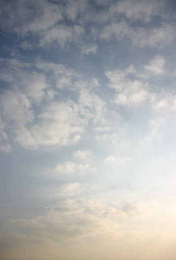http://lh4.google.com/anikox/RzfrljP-10I/AAAAAAAABYQ/GKR3TLhCQYM/IMG_0172.jpg?imgmax=512