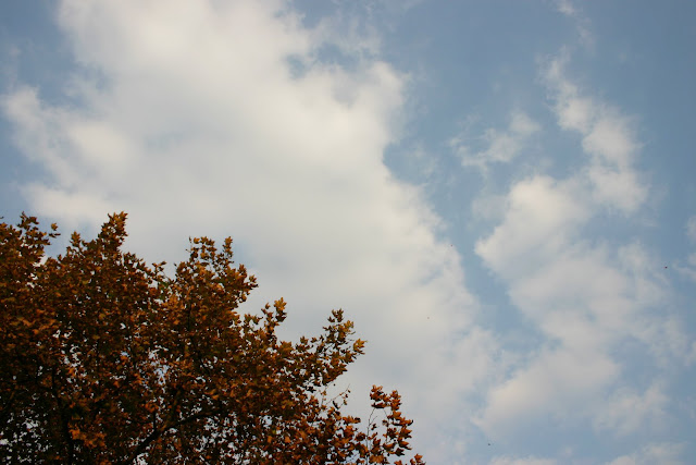 http://lh4.google.com/anikox/RzfsJjP-2AI/AAAAAAAABZw/vEt3YwvBENs/IMG_0202.jpg?imgmax=640