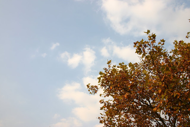 http://lh4.google.com/anikox/RzfsgjP-2KI/AAAAAAAABbE/Y2eexv49QTU/IMG_0217.jpg?imgmax=640
