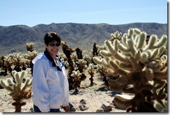 Joshua Tree Park  3-17-2008 2-11-09 PM