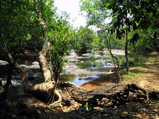 Kabani river