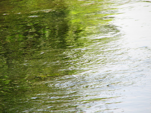 Green water :)