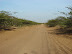 Rumbo al Cabo Rumbo al Cabo