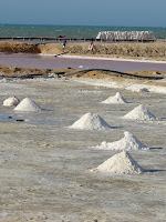 Las salinas - Se ven dos niños de como 20 que venían en desbandada