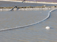 Las salinas Las salinas