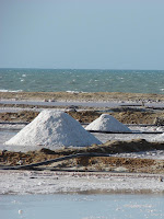 Las salinas Las salinas