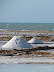 Las salinas Las salinas