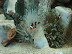 Findin' Nemo Findin' Nemo