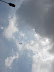 También por aire acompañaron la marcha