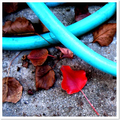 hose in autumn3