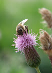 DSCF1440.JPG