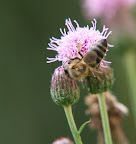 DSCF1434.JPG