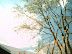 PICT0008_2.JPG