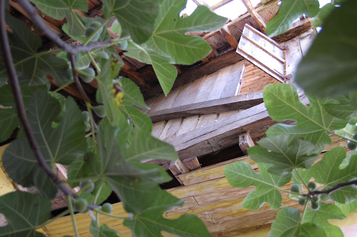 planta 2