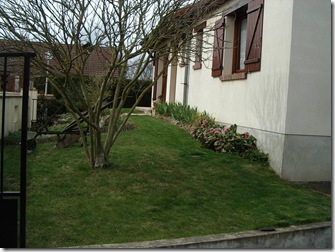 IMGP4935