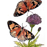 card making scrapbooking printables
