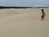 IMG_7484.JPG