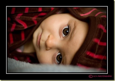 lying on side with hood BORDER