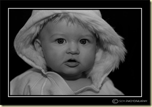 hoodie web and BORDER