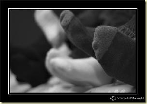 socks web and BORDER