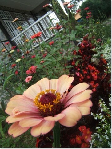DSCF0339