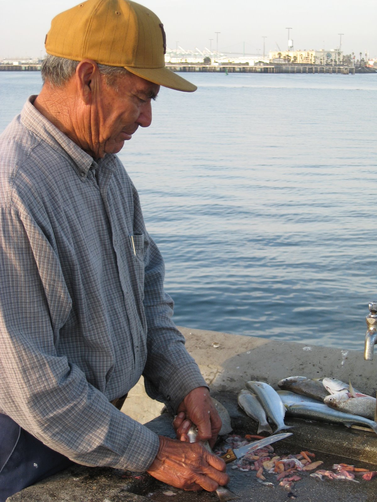 [IMG_0166.JPG]