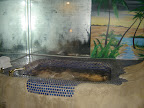 10thanny07 001.jpg