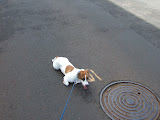 DSCF9464.JPG