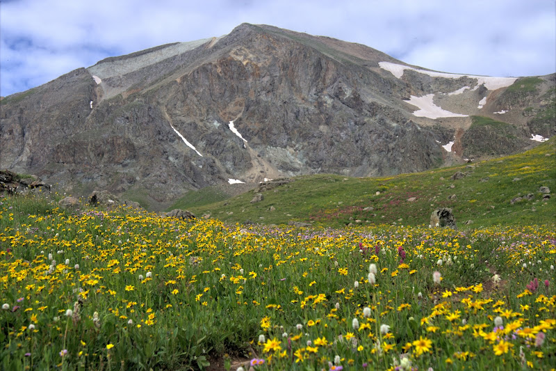 Handies Peak