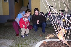 Silvester