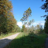 Perlacher Forst