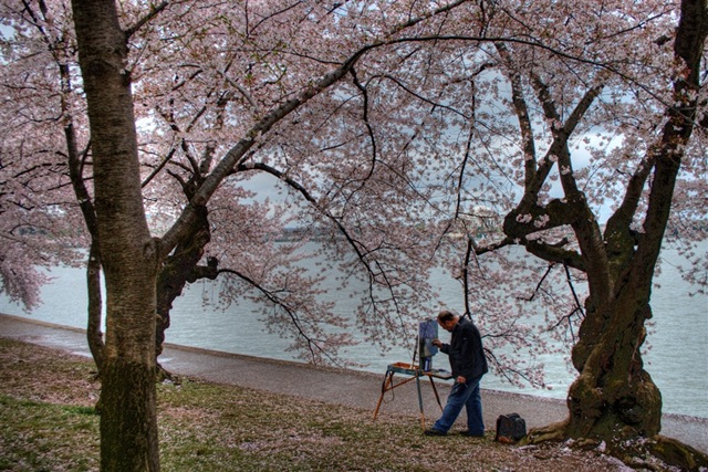 [IMG_6515_6_7_tonemapped[3].jpg]