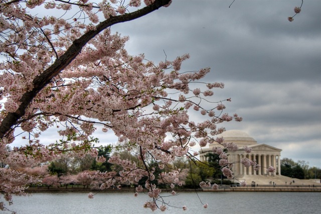[IMG_6642_3_4_tonemapped[4].jpg]