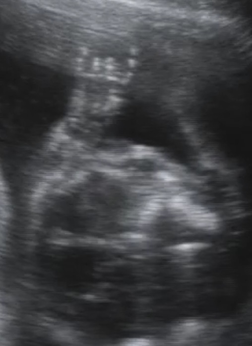Picture 8.jpg