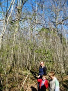 Bushwalk