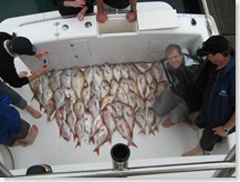 The Catch