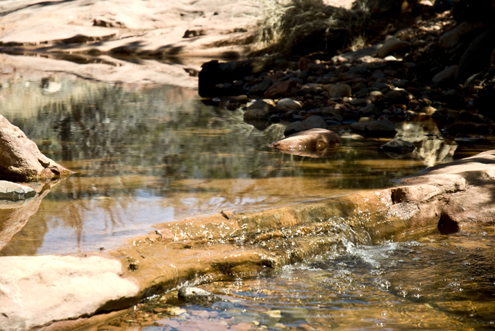 DSC_0028 small waterfall on oak creek munds hike en az.jpg