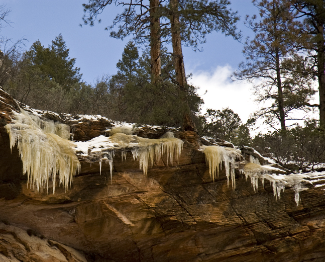DSC_6863 mother earth s icicle yellow necklace west fork trail en az.jpg