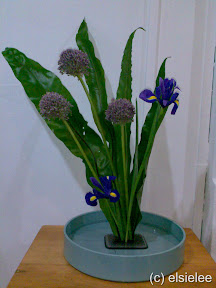 shikisai moribana