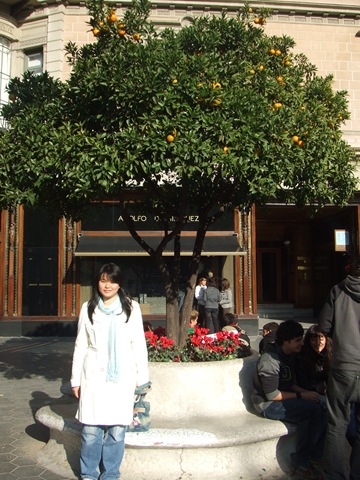 DSCF4841