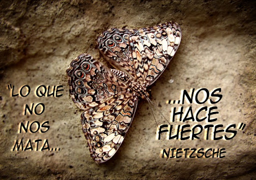 Brown_butterfly_by_braiiins copia