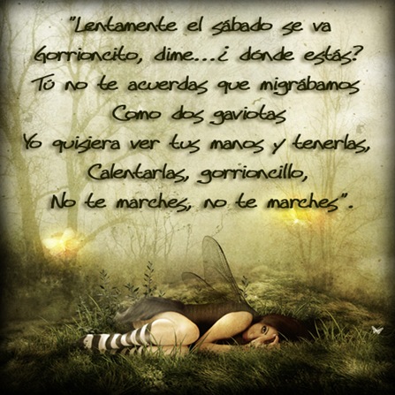 sabado por la tarde