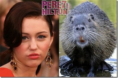 Miley Cyrus hannah montana funny picture