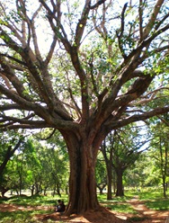 CIMG0242