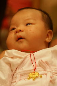 http://lh4.google.com/fotoByMe/RtBANmodtpI/AAAAAAAAFn0/GvFgArFWjXE/s288/PICT0023.JPG