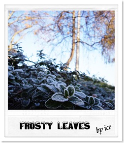 frost2