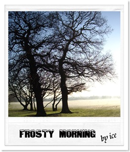 frost8