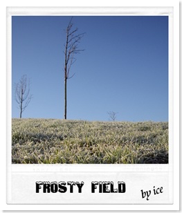 frost11
