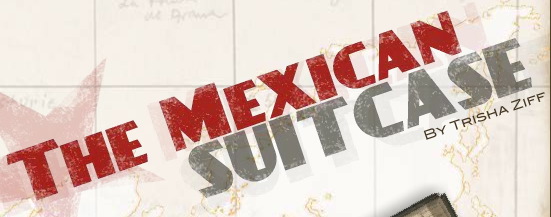 mexicansuitcase.jpg